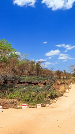 Off road Driving Wallpaper Screenshot 1