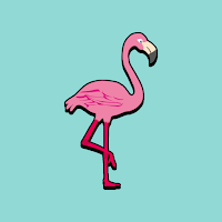 Flamingos Live Wallpaper