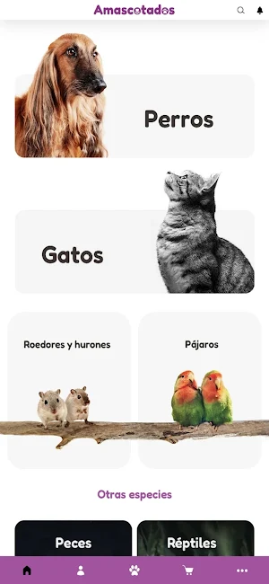 Amascotados Screenshot 0