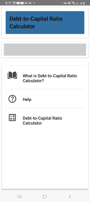 Debt To Capital Ratio Screenshot 0