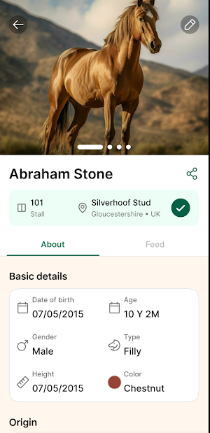 Stallya Screenshot 1