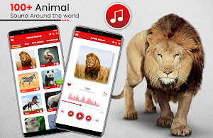 Animal Sounds Birds Ringtones Screenshot 0
