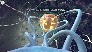 Virtual Brand Experience Screenshot 1