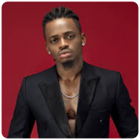 DIAMOND PLATNUMZ