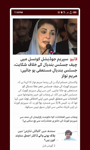 Pakistan TV - اردو نیوز چینلز Screenshot 0
