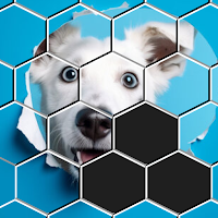 Hexa Sort Puzzle