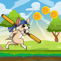 Super Rabbit in Training