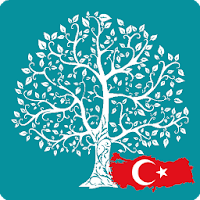 Soy Ağacı