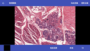 MotiConnect Screenshot 0