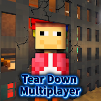 teardown multiplayer mod