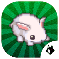 Bunny Run! Lost in the Maze