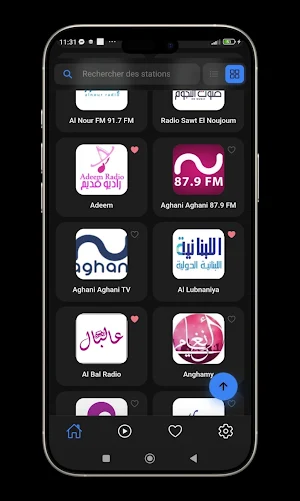 Radio Lebanon Pro Screenshot 1