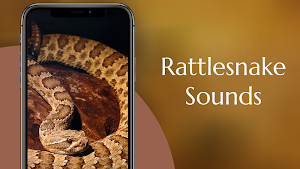 Rattlesnake Sounds Screenshot 1