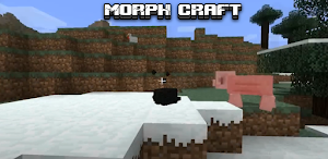 MORPH CRAFT Screenshot 2