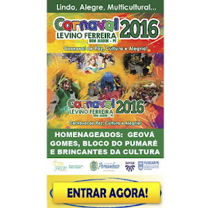 Carnaval Levino Ferreira Screenshot 0