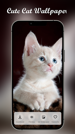 Cute Cat Wallpaper HD Screenshot 1