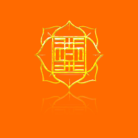 DYI APP