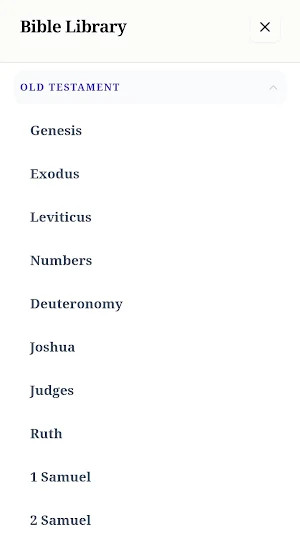 BibleFlow screenshot 2