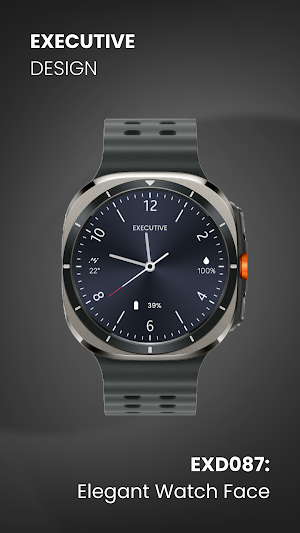 EXD087: Elegant Watch Face Screenshot 1