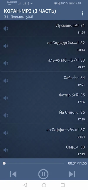 КОРАН-MP3. БЕСПЛАТНО И БЕЗ ИНТЕРНЕТА. 3 ЧАСТЬ. Screenshot 0