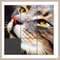 Slide Picture Puzzle Game