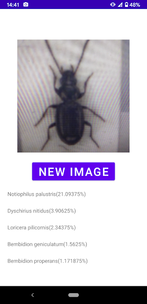 Insect identifier Screenshot 1