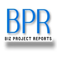 BPR - Business Project Reports
