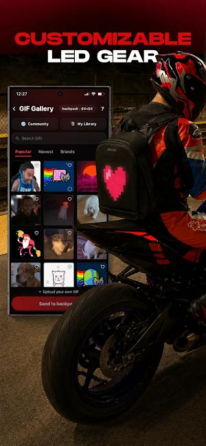 NYAN GEAR Screenshot 0