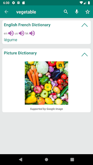 French English Dictionary Screenshot 1