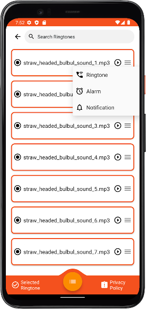 Straw-headed bulbul bird sound Screenshot 3