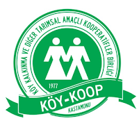 Köy Koop