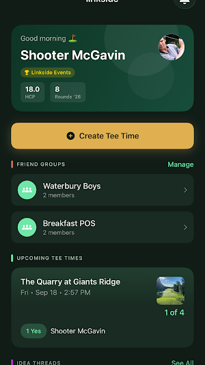 Linkside Golf Screenshot 0