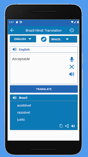 Hindi Brazil Translation Screenshot 2