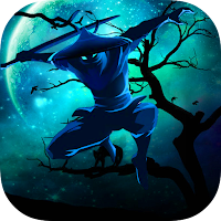 Ninja Shadow Of Tear