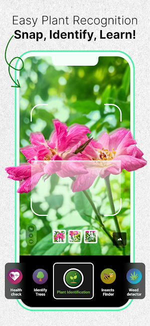 Plant Identification App Screenshot 2