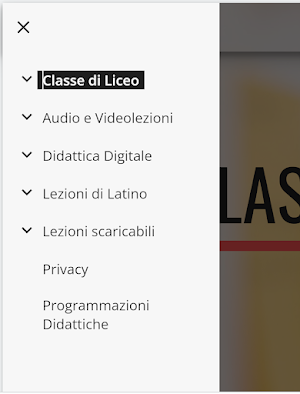 Lezioni di Latino Screenshot 2
