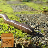 earthworm wallpaper