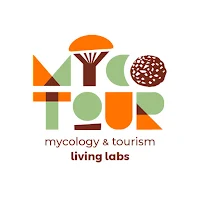 Mycotour Teruel