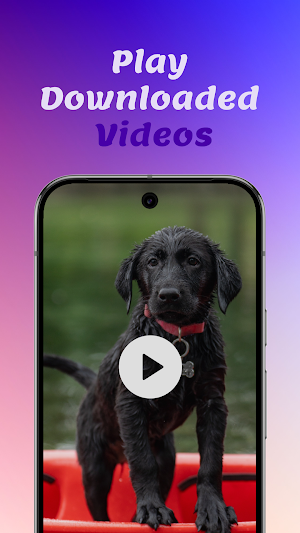 Clip Catch: Video Downloader Screenshot 3