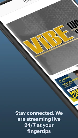 The ViBE WVBE Screenshot 0
