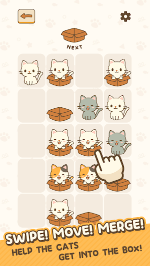 Cats Love The Box Screenshot 1