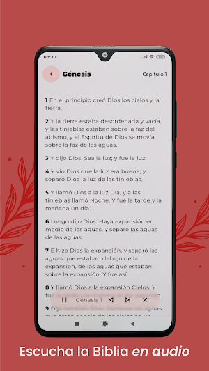 Holy Bible: Reading and Audio Screenshot 1
