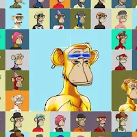 Monkey NFT