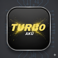 Tiger Petrol Akü B2B