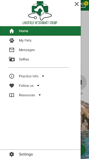 Lakefield Vet Screenshot 1