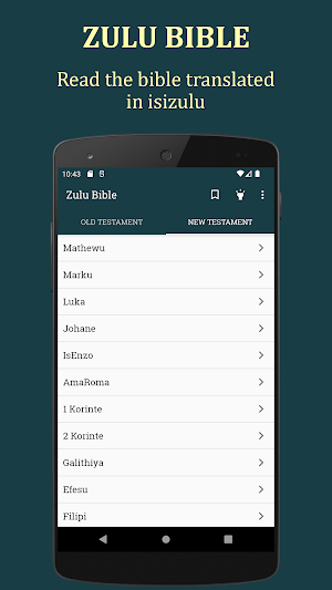Ibhayibheli Elingcwele lesizul Screenshot 1