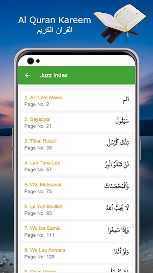 Al Quran Kareem (16 lines) القران الكريم Screenshot 2