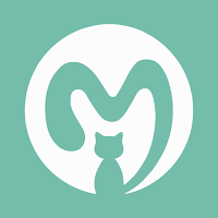 Mintail: Net Worth Tracker