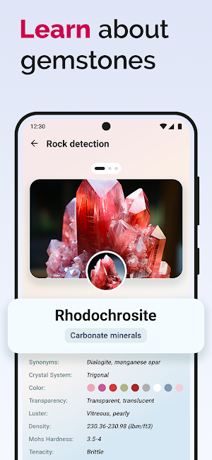 Rock ID - Stone Identifier Screenshot 3