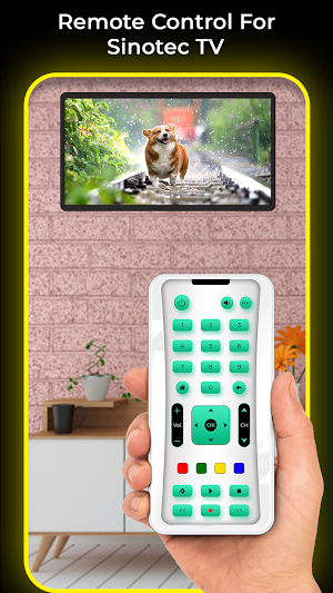 Remote Control For Sinotec TV Screenshot 2